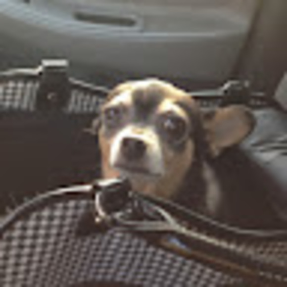 Meet your Posher, Kristin - Picture 1 of 1